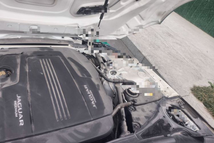 Used Jaguar F-TYPE 2021 P300 Rear-Drive First Edition Hardtop Version Engine Bay Left