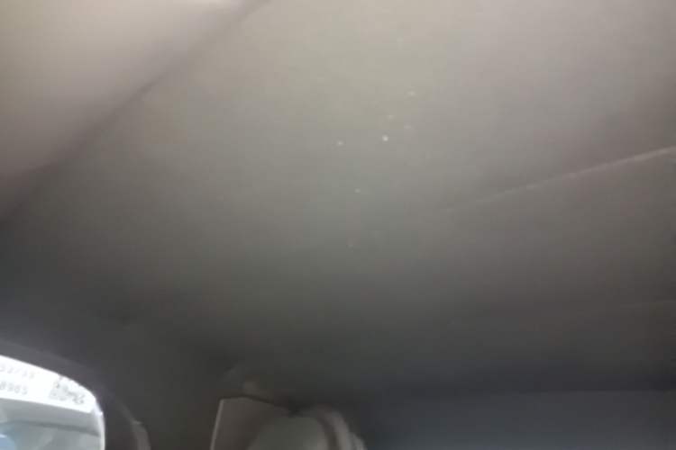 Used Jaguar F-TYPE 2021 P300 Rear-Drive Convertible Edition Headliner
