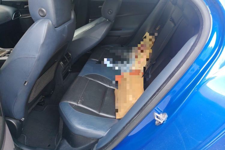 Used Jaguar XE 2015 3.0 SC 340 PS S Left Rear Seat