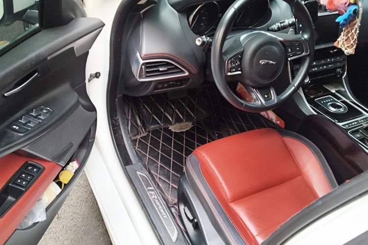 Used Jaguar XE 2018 2.0T 200 PS Two-Wheel-Drive R-Sport Sport Edition Driver Seat