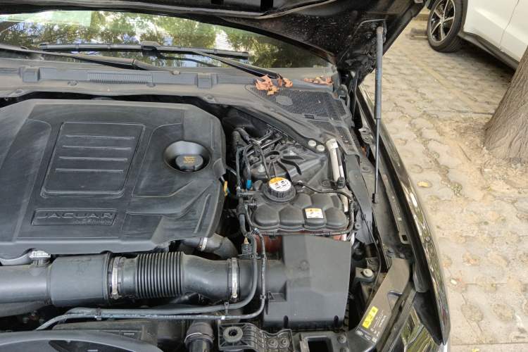 Used Jaguar XE 2019 2.0T 300 PS All-Wheel-Drive Landmark Edition Engine Bay Left