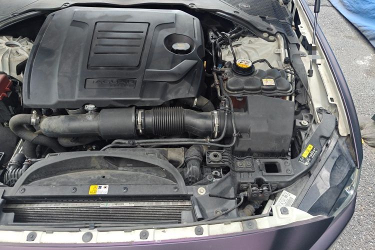 Used Jaguar XEL 2019 2.0T 200 PS Deluxe Edition Engine Bay Left
