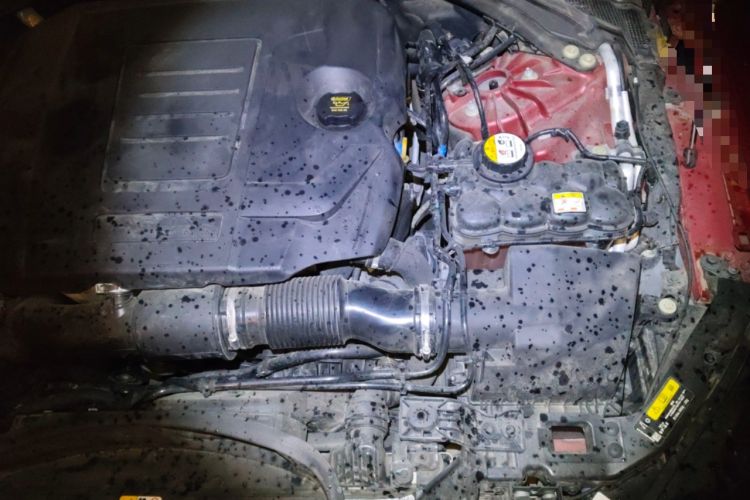 Used Jaguar XEL 2019 2.0T 200 PS Luxury Edition Engine Bay Left