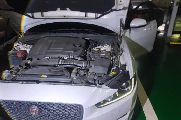 Used Jaguar XEL 2019 2.0T 200 PS Deluxe Edition Engine Bay Left