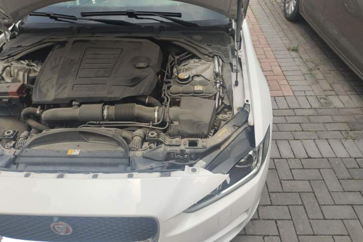 Used Jaguar XEL 2019 2.0T 200 PS Deluxe Edition Engine Bay Left