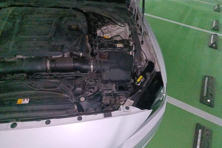 Used Jaguar XEL 2019 2.0T 200 PS Deluxe Edition Engine Bay Left