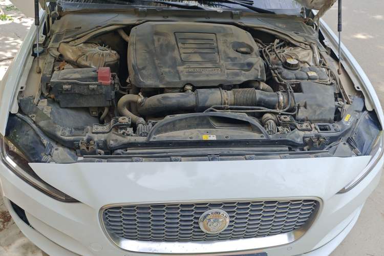 Used Jaguar XEL 2020 2.0T 250 PS SE Tech-Elegant Edition Engine Bay