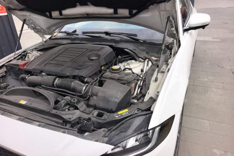 Used Jaguar XEL 2020 2.0T 200PS R-DYNAMIC Youth Sports Edition Engine Bay Left