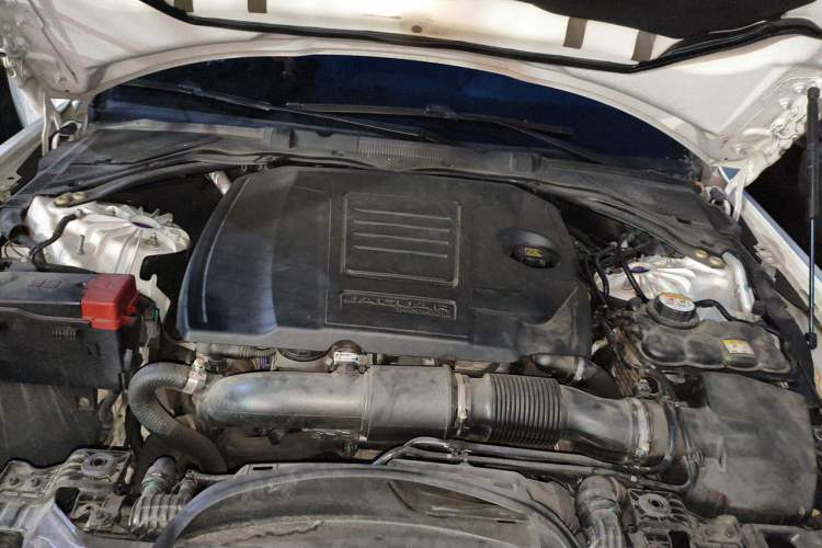 Used Jaguar XEL 2020 2.0T 250 PS SE Tech-Elegant Edition Engine Bay Left