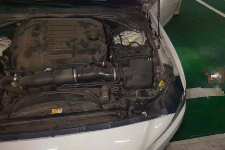 Used Jaguar XEL 2020 2.0T 250 PS SE Tech-Elegant Edition Engine Bay Left
