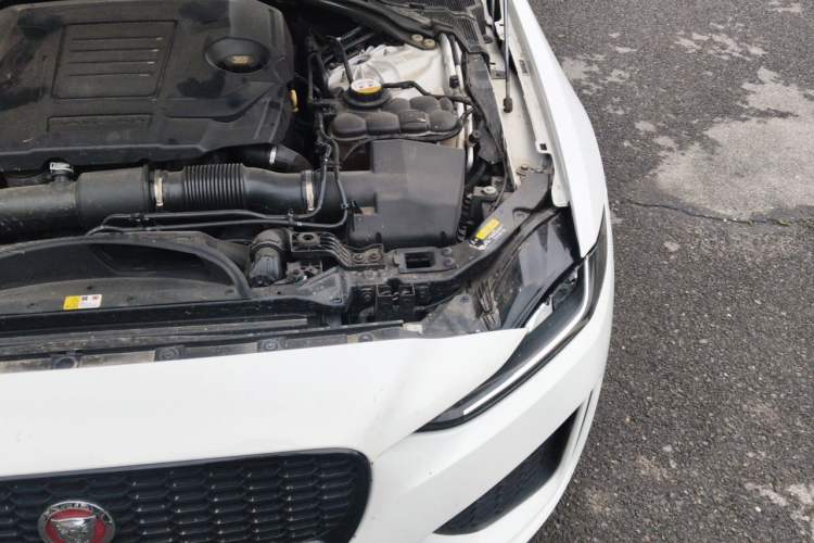 Used Jaguar XEL 2020 2.0T 200PS R-DYNAMIC Youth Sports Edition Engine Bay Left