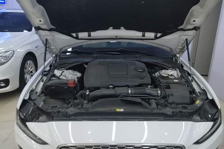 Used Jaguar XEL 2020 2.0T 250 PS SE Tech-Elegant Edition Engine Bay