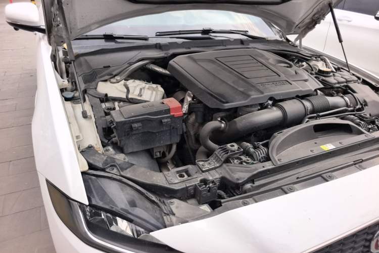Used Jaguar XEL 2020 2.0T 200PS R-DYNAMIC Youth Sports Edition Engine Bay Right
