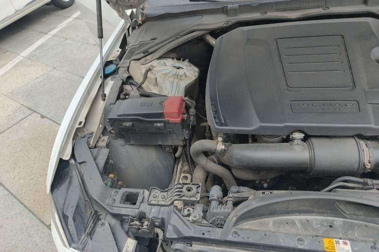 Used Jaguar XEL 2020 2.0T 250 PS SE Tech-Elegant Edition Engine Bay Right