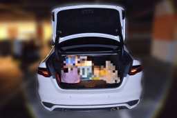 Thumbnail 20
