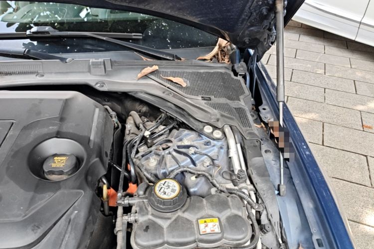 Used Jaguar XEL 2021 2.0T 250 PS R-DYNAMIC SE Tech Sport Edition Engine Bay Left