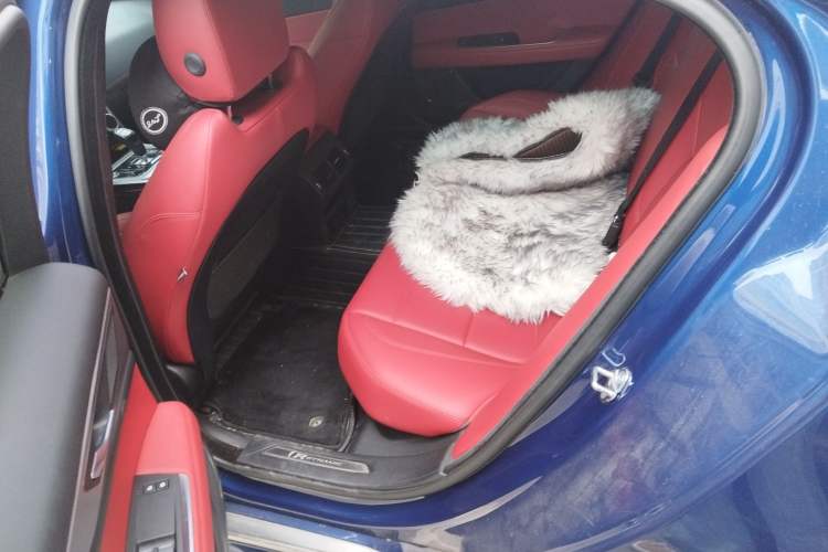 Used Jaguar XEL 2021 2.0T 250 PS R-DYNAMIC S Advanced Sport Edition Left Rear Seat