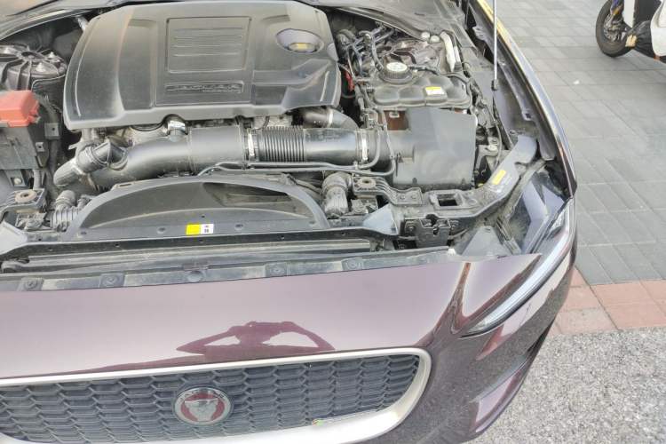 Used Jaguar XEL 2021 2.0T 250 PS R-DYNAMIC SE Tech Sport Edition Engine Bay Left