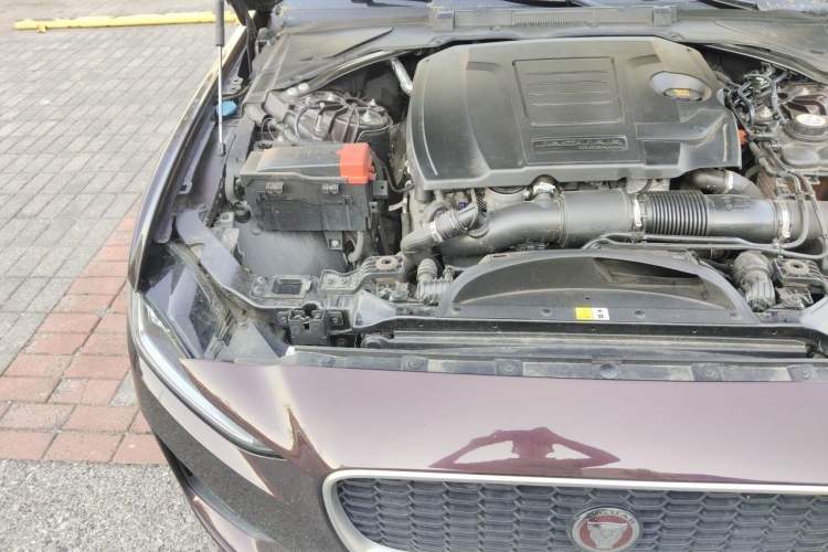 Used Jaguar XEL 2021 2.0T 250 PS R-DYNAMIC SE Tech Sport Edition Engine Bay Right