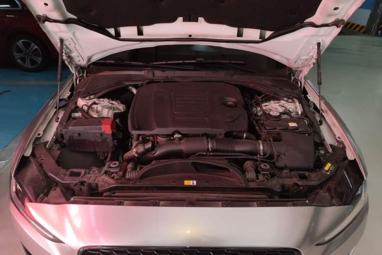 Used Jaguar XEL 2021 2.0T 250 PS Black Edition Sport Version Engine Bay
