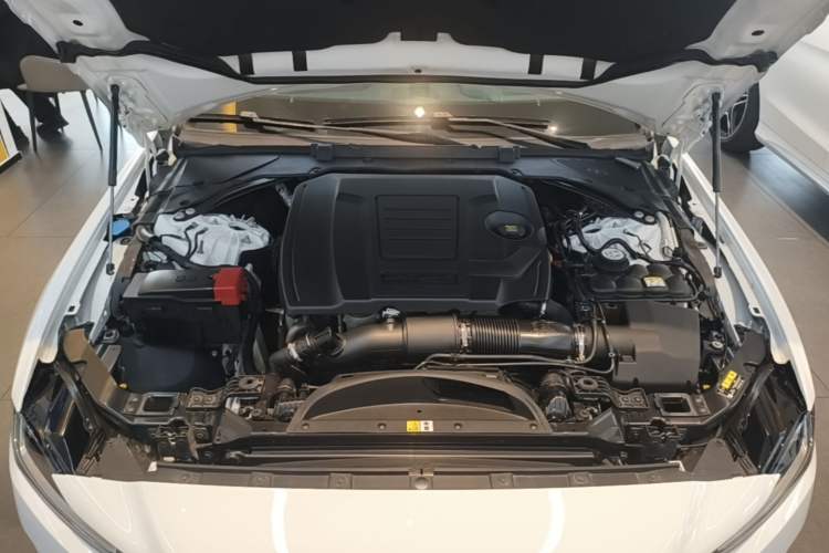Used Jaguar XEL 2021 2.0T 250 PS Black Edition Sport Version Engine Bay