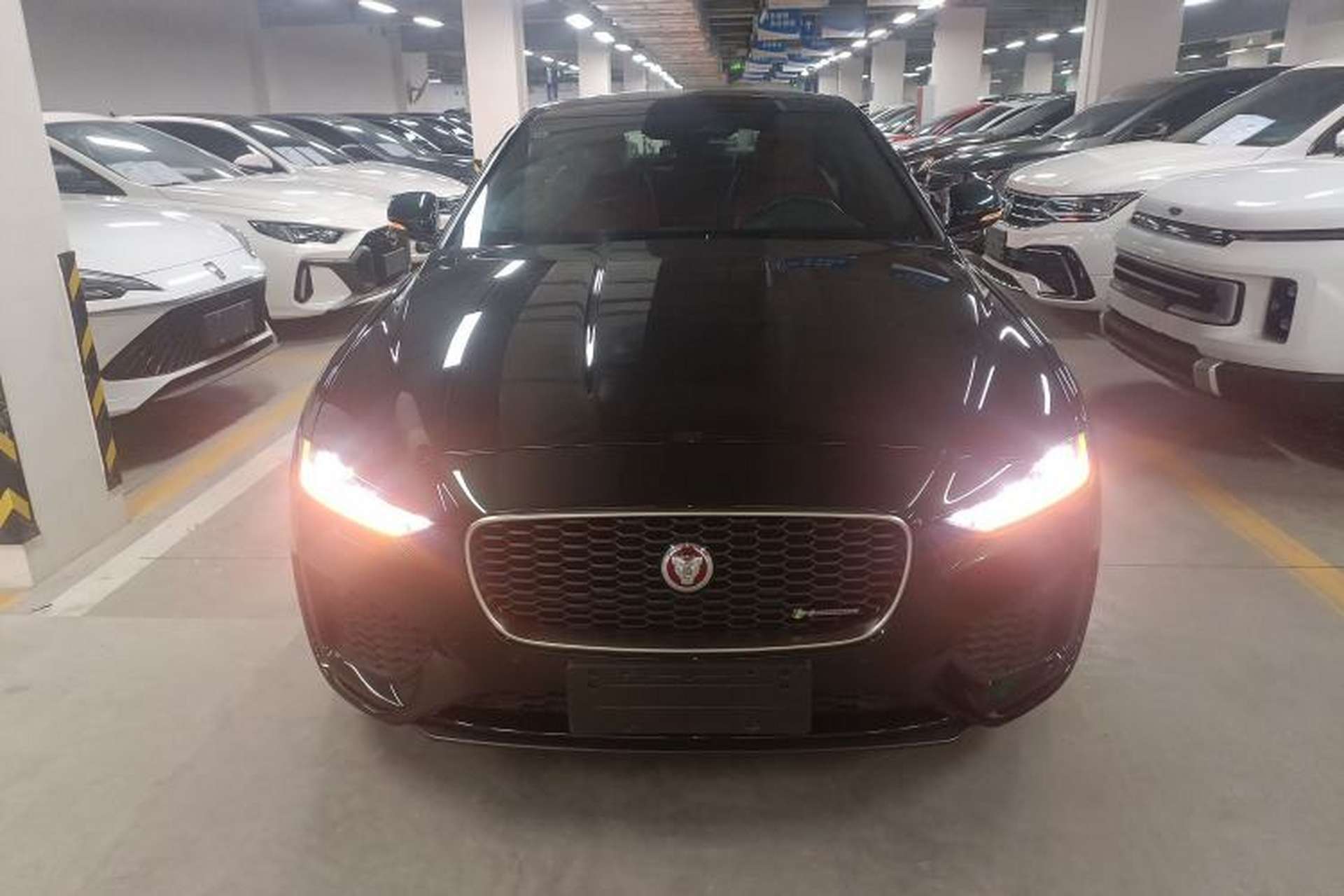 Used Jaguar XEL 2022 2.0T 250 PS R-DYNAMIC S Advanced Sport Edition Front