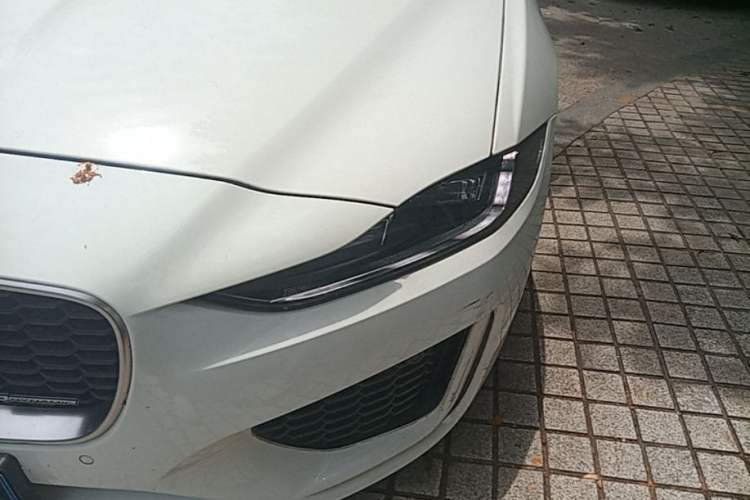 Used Jaguar XEL 2022 2.0T 250 PS R-DYNAMIC S Advanced Sport Edition Left Front Headlight