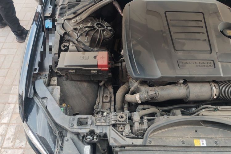 Used Jaguar XEL 2023 2.0T 250 PS R-DYNAMIC S Advanced Sport Edition Engine Bay Right