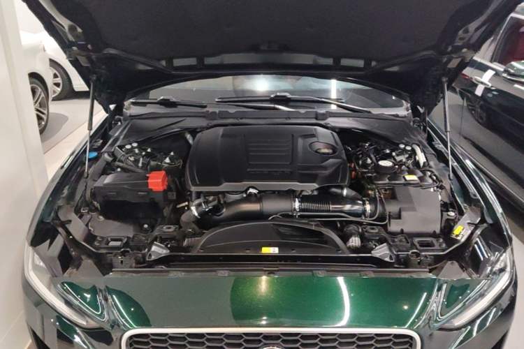 Used Jaguar XEL 2023 2.0T 250 PS R-DYNAMIC S Advanced Sport Edition Engine Bay