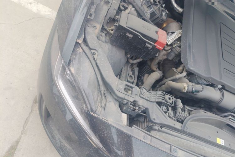 Used Jaguar XEL 2023 2.0T 250 PS R-DYNAMIC S Advanced Sport Edition Engine Bay Right