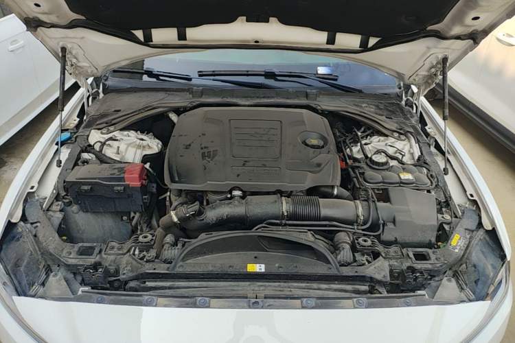 Used Jaguar XEL 2023 2.0T 250 PS R-DYNAMIC S Advanced Sport Edition Engine Bay