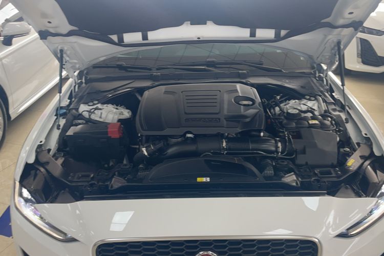 Used Jaguar XEL 2023 2.0T 250 PS R-DYNAMIC S Advanced Sport Edition Engine Bay