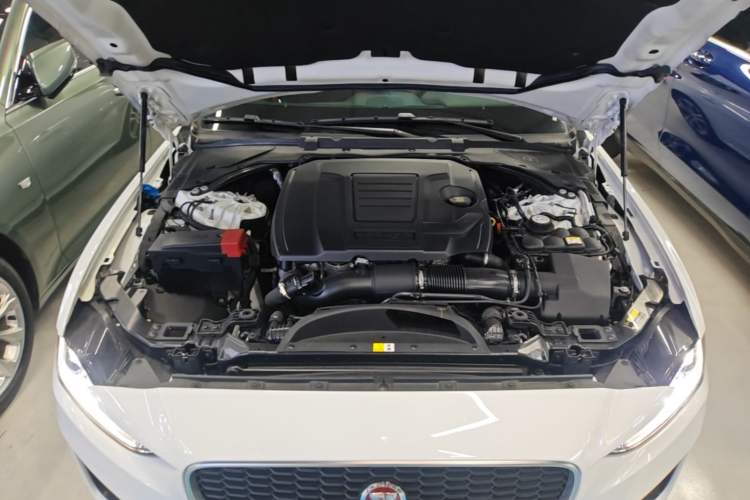 Used Jaguar XEL 2023 2.0T 250 PS R-DYNAMIC S Advanced Sport Edition Engine Bay