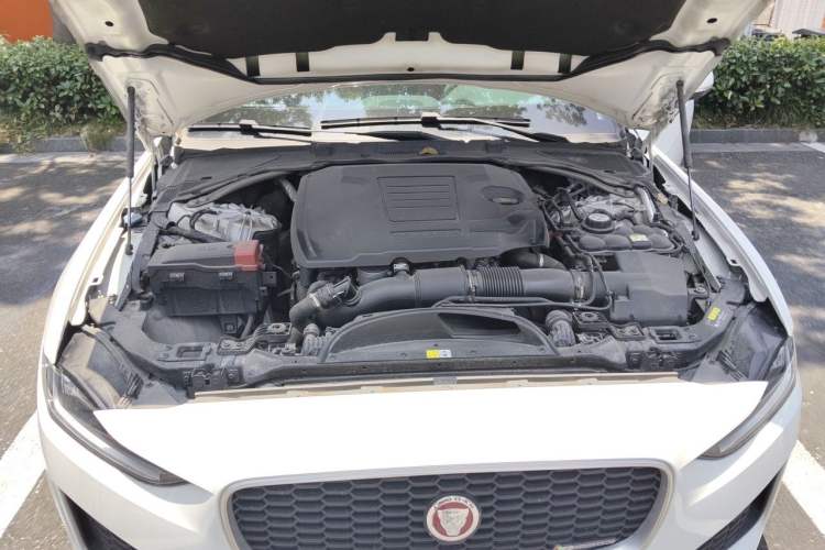Used Jaguar XEL 2023 2.0T 250 PS R-DYNAMIC S Advanced Sport Edition Engine Bay