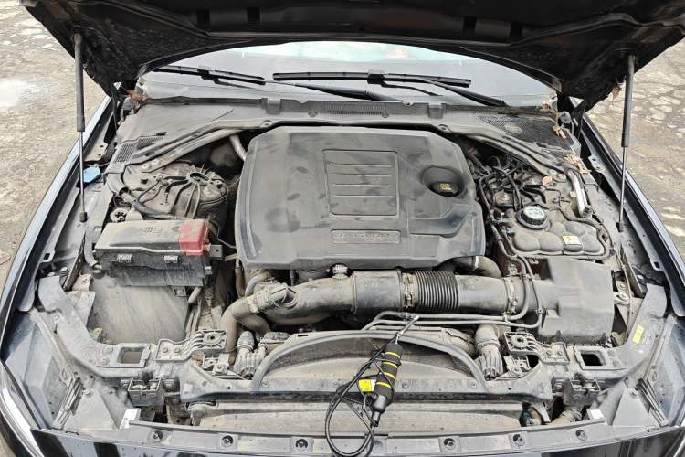 Used Jaguar XEL 2024 2.0T 250 PS R-DYNAMIC S Advanced Sport Edition Engine Bay