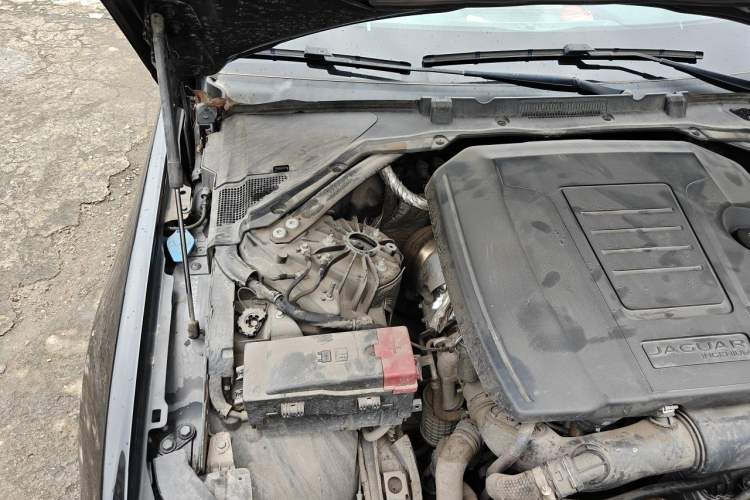 Used Jaguar XEL 2024 2.0T 250 PS R-DYNAMIC S Advanced Sport Edition Engine Bay Right