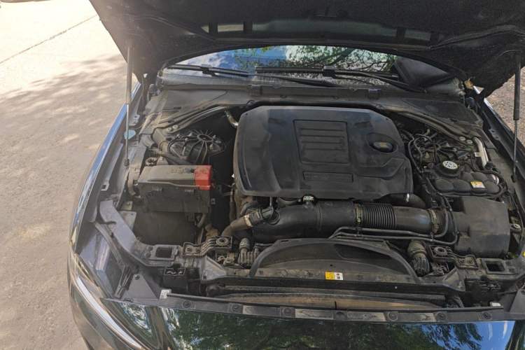 Used Jaguar XEL 2024 2.0T 250 PS R-DYNAMIC S Ebony Black Sport Edition Engine Bay Right