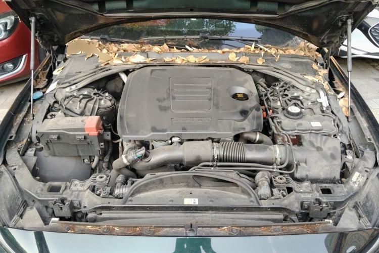 Used Jaguar XEL 2024 2.0T 250 PS R-DYNAMIC S Advanced Sport Edition Engine Bay