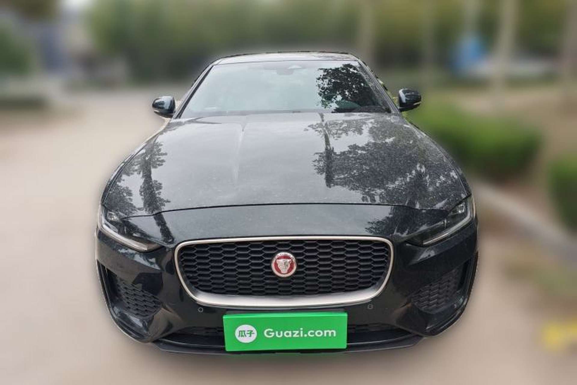 Used Jaguar XEL 2024 2.0T 250 PS R-DYNAMIC S Advanced Sport Edition Front