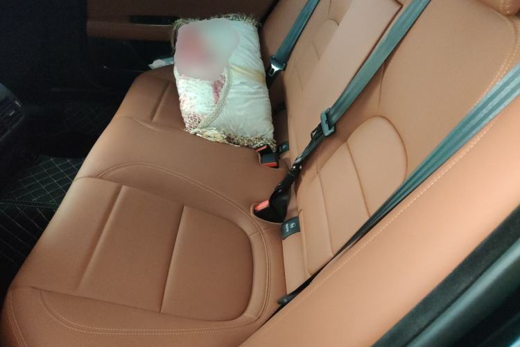Used Jaguar XEL 2024 2.0T 250 PS R-DYNAMIC S Advanced Sport Edition Left Rear Seat