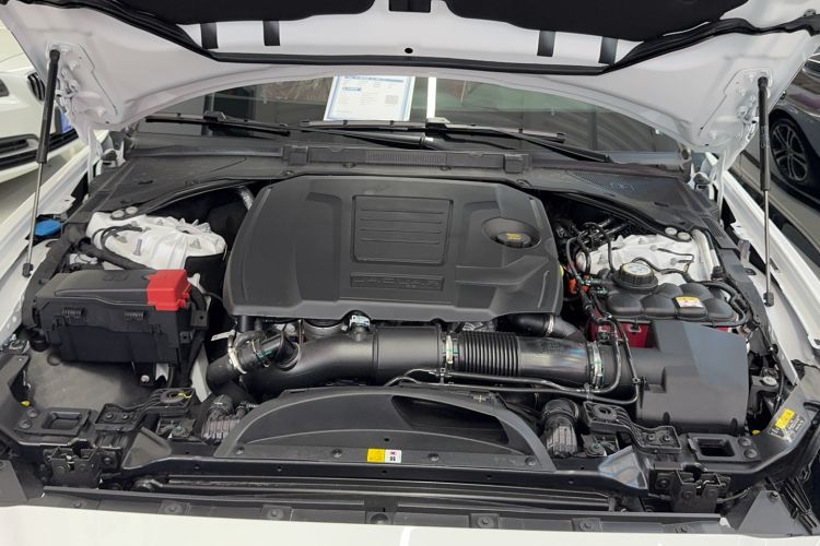 Used Jaguar XEL 2024 2.0T 250 PS R-DYNAMIC S Advanced Sport Edition Engine Bay