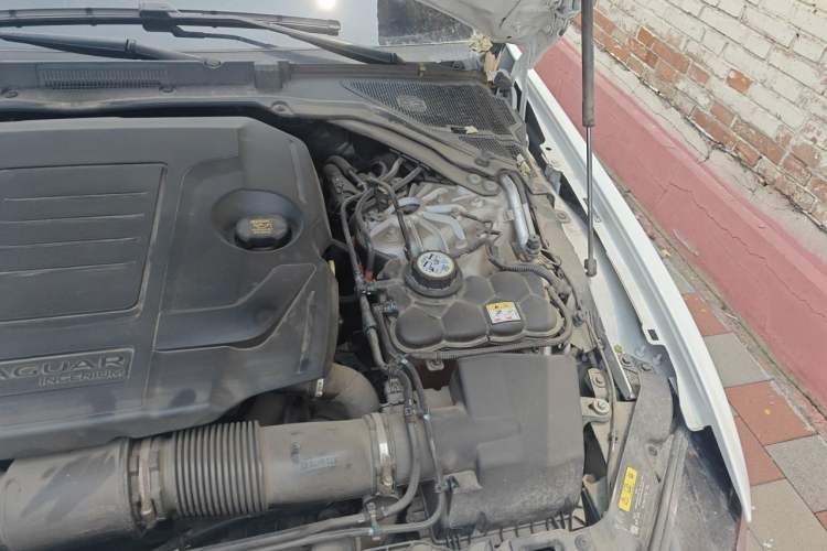 Used Jaguar XEL 2024 2.0T 250 PS R-DYNAMIC S Advanced Sport Edition Engine Bay Left