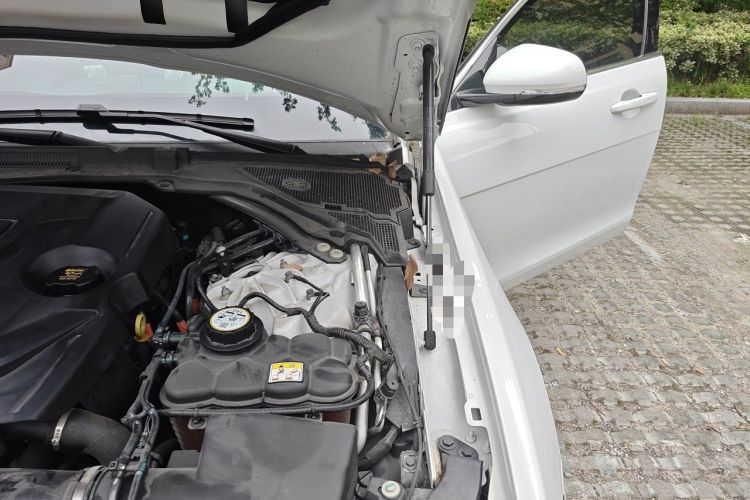 Used Jaguar XEL 2024 2.0T 250 PS R-DYNAMIC S Advanced Sport Edition Engine Bay Left