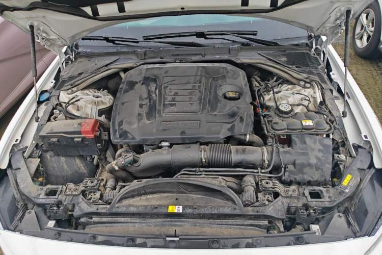 Used Jaguar XEL 2024 2.0T 250 PS R-DYNAMIC S Ebony Black Sport Edition Engine Bay