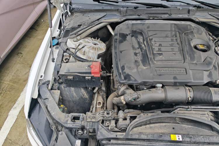 Used Jaguar XEL 2024 2.0T 250 PS R-DYNAMIC S Ebony Black Sport Edition Engine Bay Right