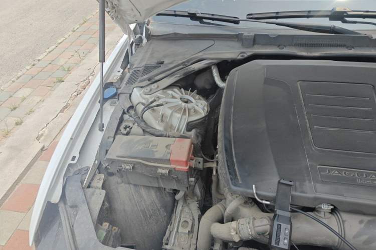 Used Jaguar XEL 2024 2.0T 250 PS R-DYNAMIC S Advanced Sport Edition Engine Bay Right