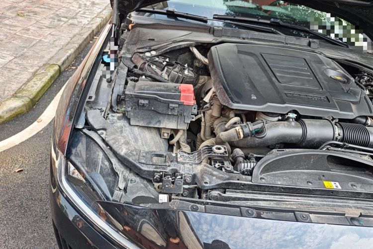 Used Jaguar XEL 2025 2.0T 250 PS R-DYNAMIC 90th Anniversary Edition Engine Bay Right