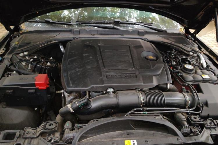 Used Jaguar XEL 2025 2.0T 250 PS R-DYNAMIC 90th Anniversary Edition Engine Bay