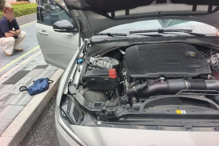 Used Jaguar XEL 2025 2.0T 250 PS R-DYNAMIC 90th Anniversary Edition Engine Bay Right