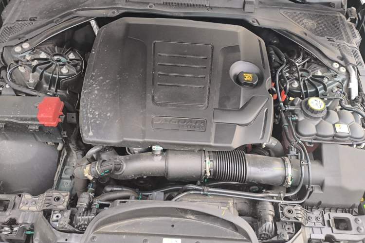 Used Jaguar XEL 2025 2.0T 250 PS R-DYNAMIC 90th Anniversary Edition Engine Bay